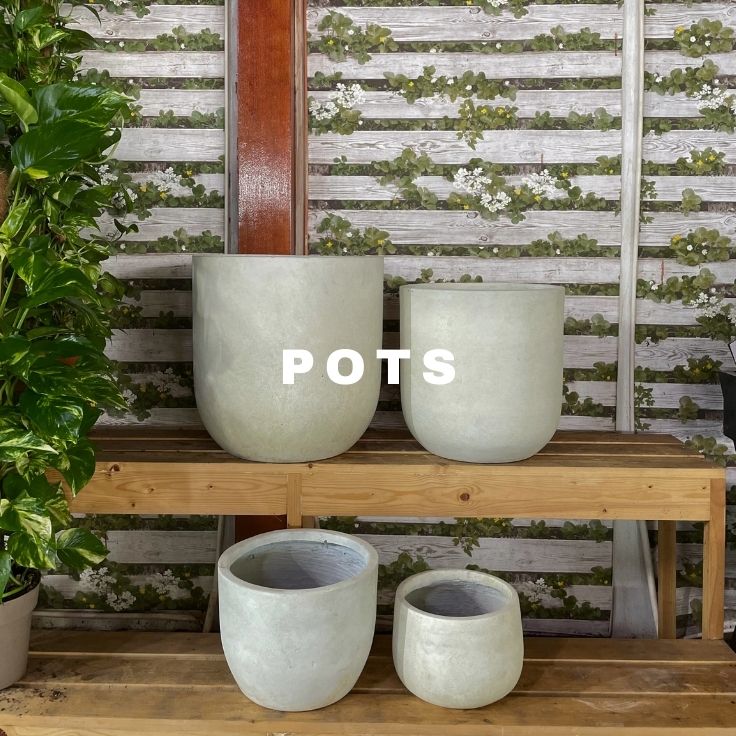 Pots