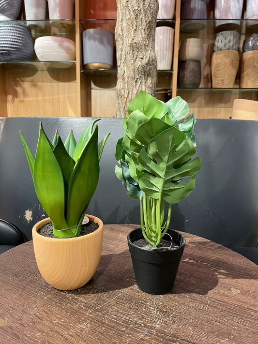 Artificial Monstera & Aloe Bundle