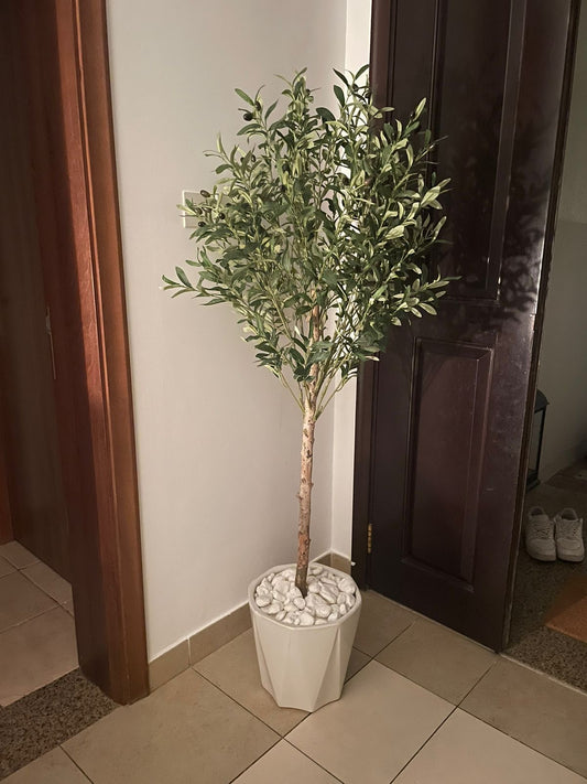 Artificial Olive Tree - Promotion