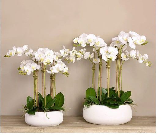 Table top Artificial Orchid bundle