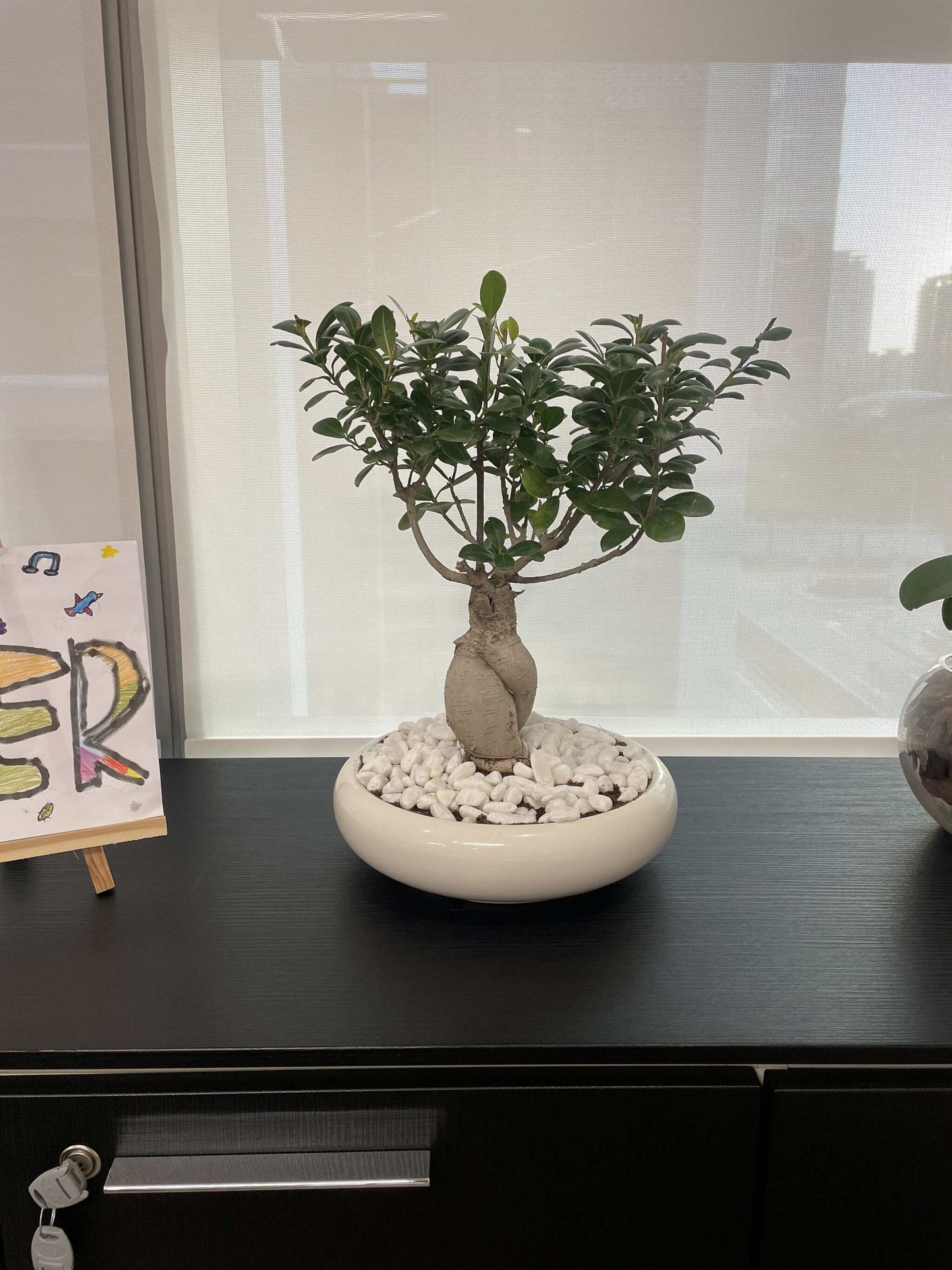 Bonsai Table Top - Shallow ceramic pot