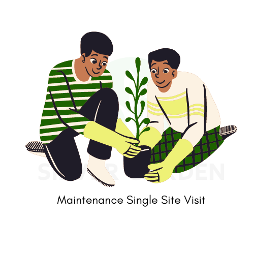 Single Plant Maintenance Visit