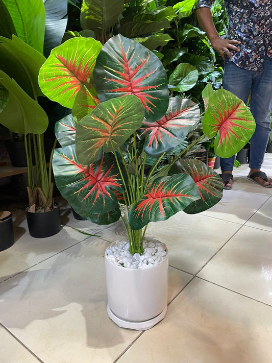 Artificial Table Top Plant