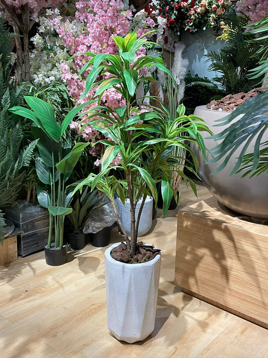 Artificial Dracena Plant